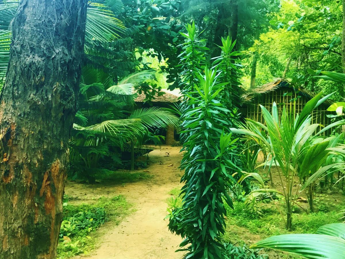 Hotel Nirvana Nature Gokarna  Exterior foto